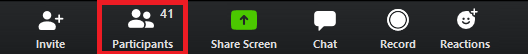 main Zoom menu, with buttons for Invite, Participants, Share Screen, Chat, Record, and Reactions