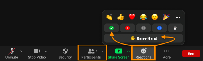 main Zoom menu, with buttons for Participants and Reactions highlighted. The reactions menu is open to show more options, including check and raise hand