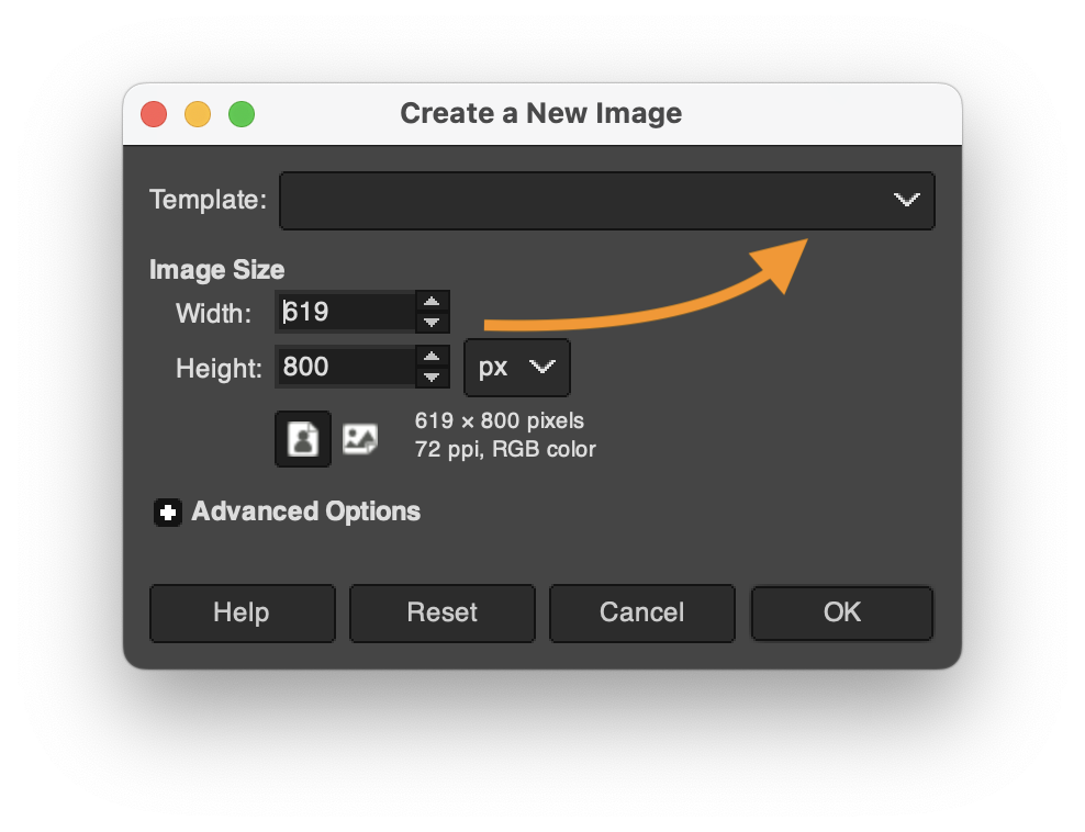 canvas template options